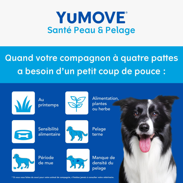 YuMEGA Showdog Lintbells, Oméga 3 et 6, peau et pelage
