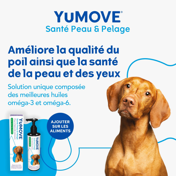 YuMEGA Showdog Lintbells, Oméga 3 et 6, peau et pelage