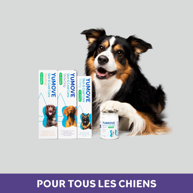 YuMEGA Showdog Lintbells, Oméga 3 et 6, peau et pelage