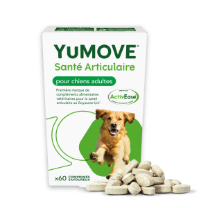 Yumove Lintbells, articulation chien, rhumatismes, arthrite