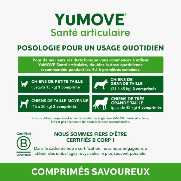 Yumove Lintbells, articulation chien, rhumatismes, arthrite
