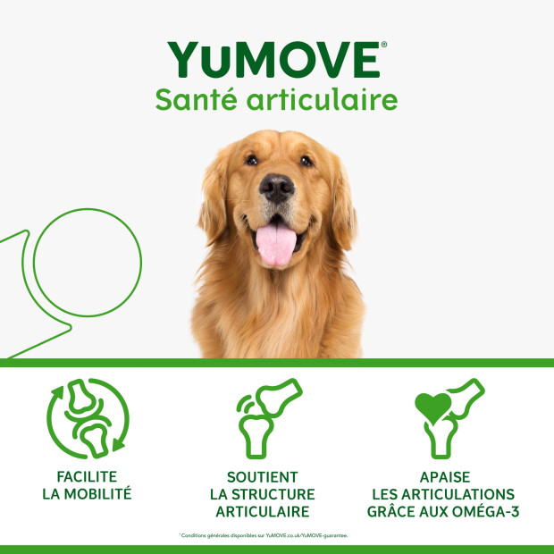 Yumove Lintbells, articulation chien, rhumatismes, arthrite
