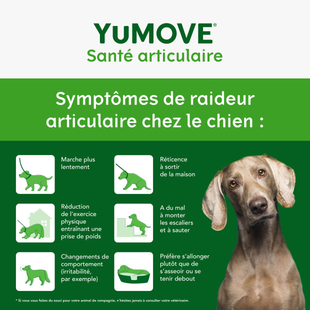 Yumove Lintbells, articulation chien, rhumatismes, arthrite