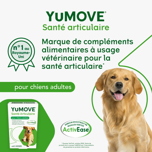 Yumove Lintbells, articulation chien, rhumatismes, arthrite