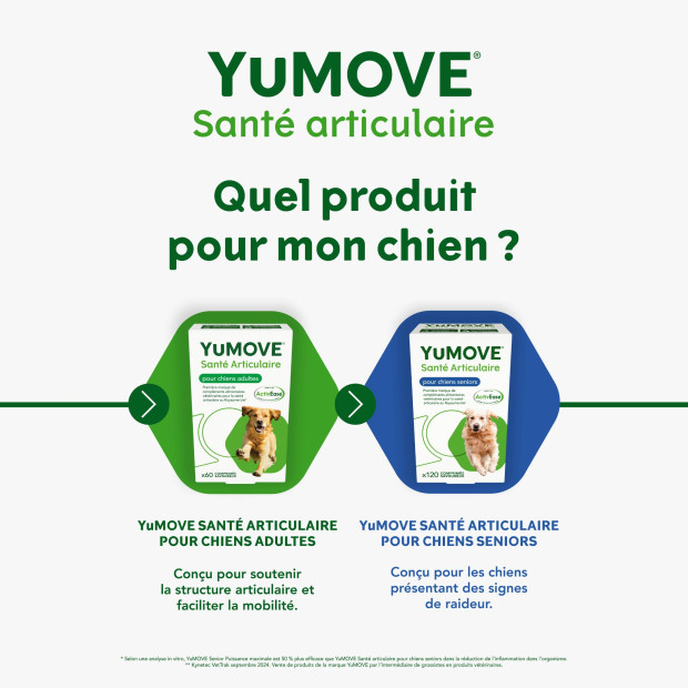 Yumove Lintbells, articulation chien, rhumatismes, arthrite