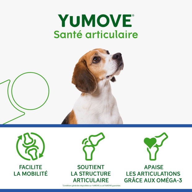 YuMOVE Senior Lintbells, douleurs et raideurs articulaires