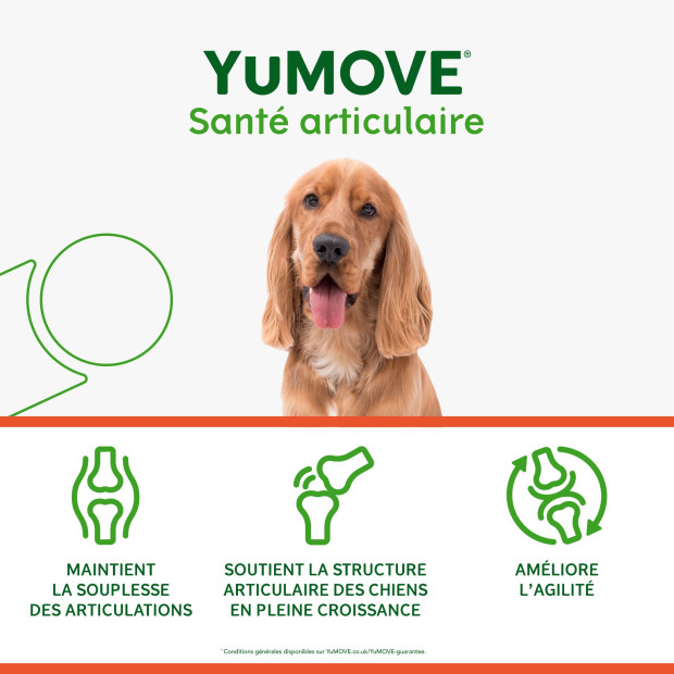 YuMOVE jeune et actif Lintbells, renforce articulations