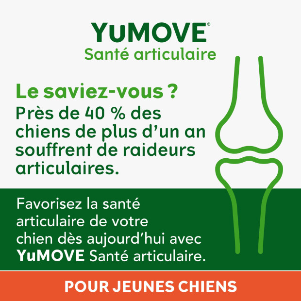 YuMOVE jeune et actif Lintbells, renforce articulations