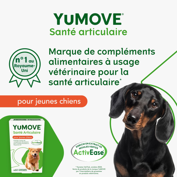 YuMOVE jeune et actif Lintbells, renforce articulations