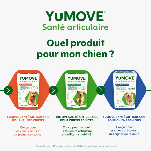 YuMOVE jeune et actif Lintbells, renforce articulations