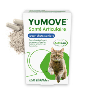YuMove Chat Senior pour les articulations raides