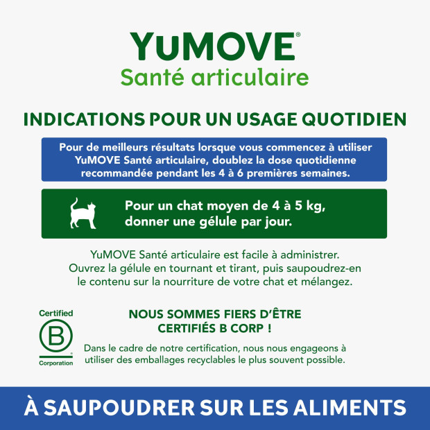 YuMove Chat Senior pour les articulations raides