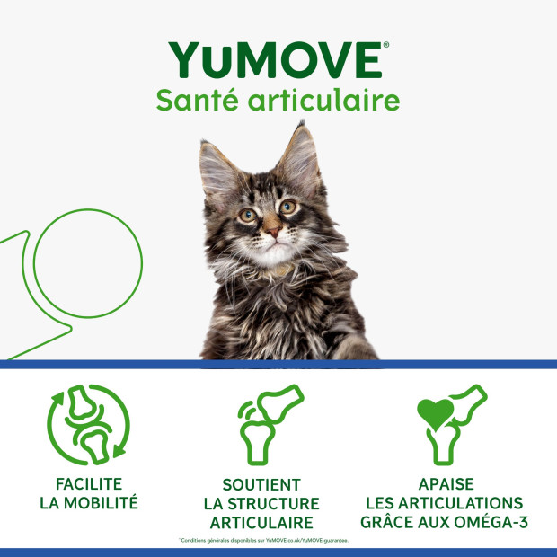 YuMove Chat Senior pour les articulations raides