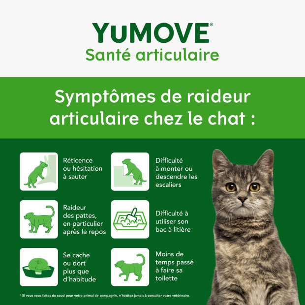 YuMove Chat Senior pour les articulations raides