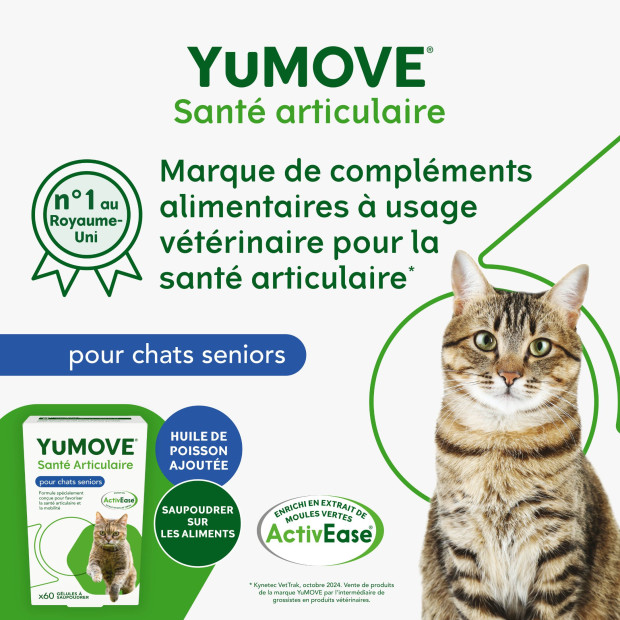 YuMove Chat Senior pour les articulations raides