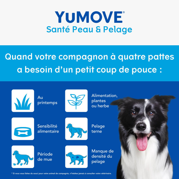 YuDERM Boost Yumega Lintbells, accelère la pousse du poil
