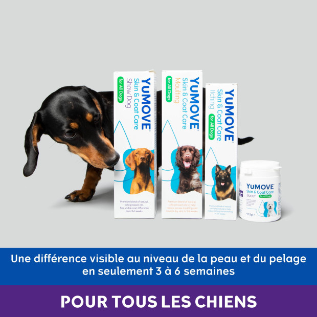 YuDERM Boost Yumega Lintbells, accelère la pousse du poil