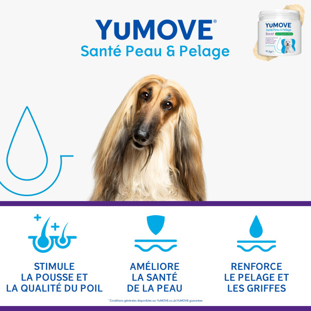 Pack Peau et Poil Yumove