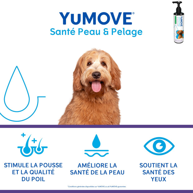 Pack Peau et Poil Yumove