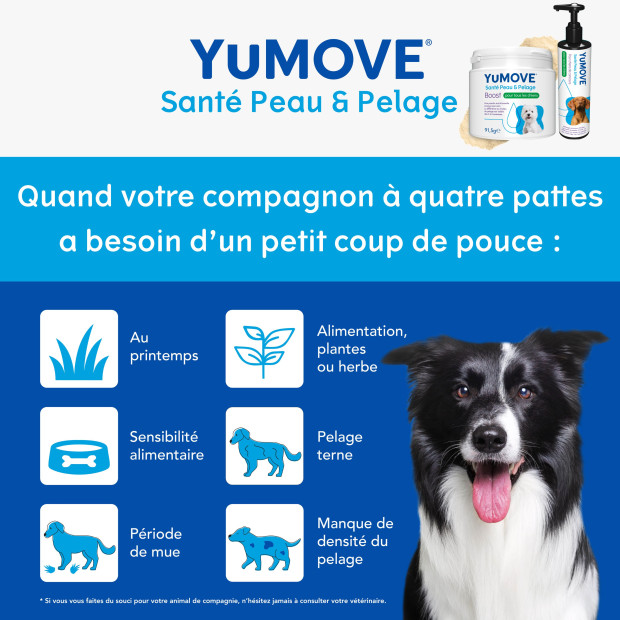 Pack Peau et Poil Yumove