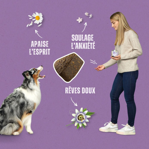 Snack 2en1 Balance Stress Wildes Land