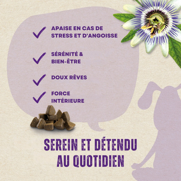 Snack 2en1 Balance Stress Wildes Land