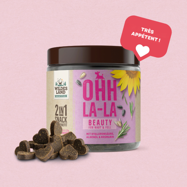 Chews Beauté et Pelage Wildes Land