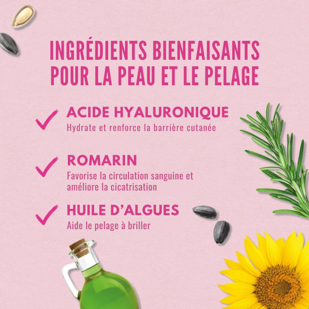 Chews Beauté et Pelage Wildes Land