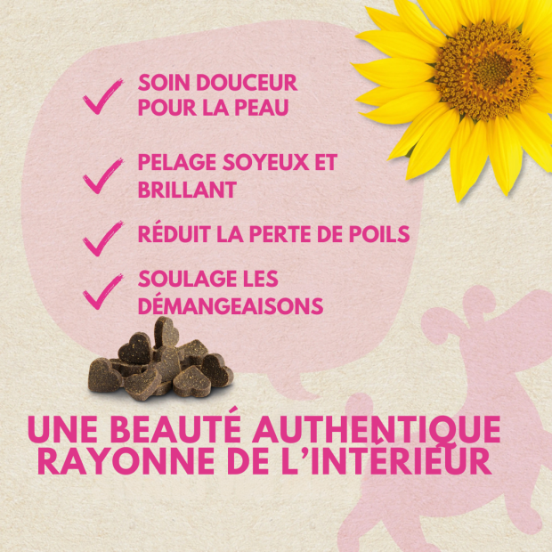 Chews Beauté et Pelage Wildes Land