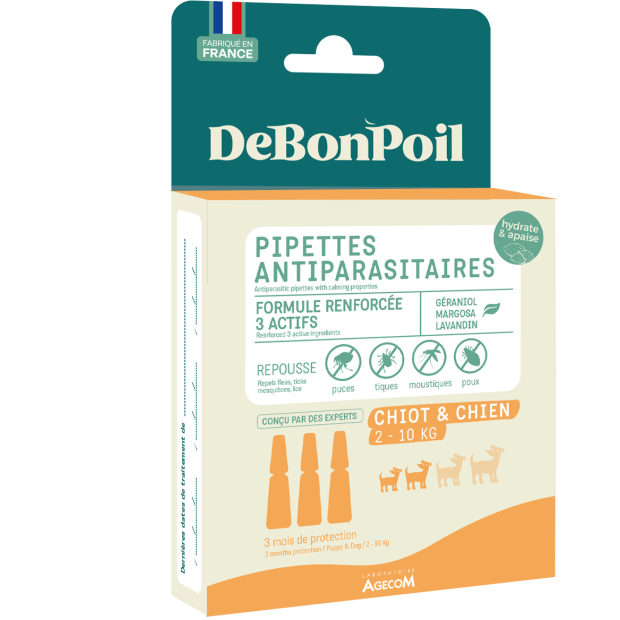 Pipettes Agecom chiot et petit chien