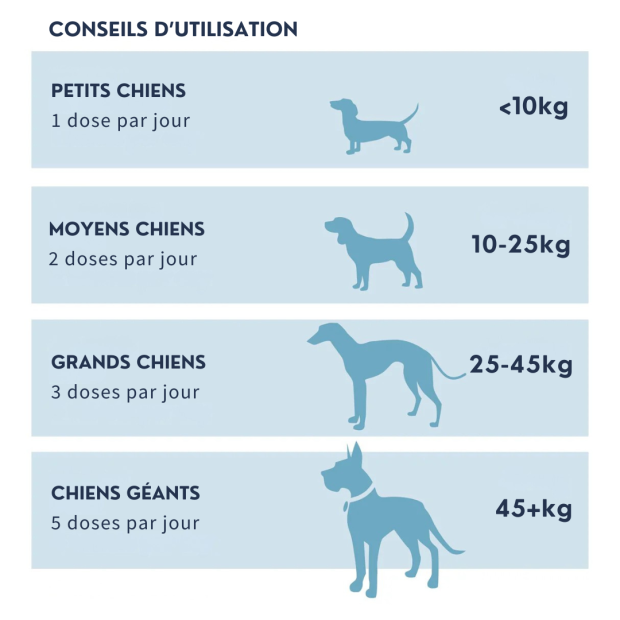 Comprimés Digestion Dorwest: calme le système digestif