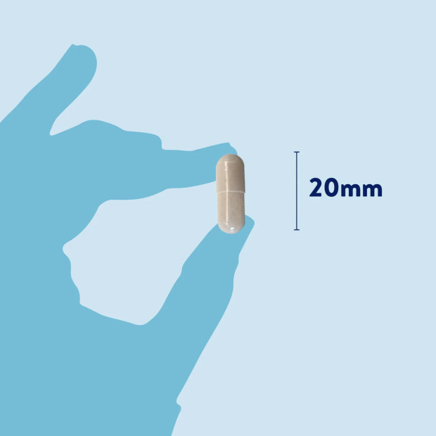 Probiotic Plus Dorwest pour une santé digestive optimale
