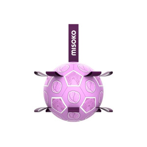 Ballon de football gonflable pour chien - Jouet extérieur chien