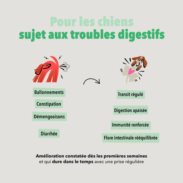 Les bouchées Digestion Delamour