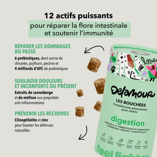 Les bouchées Digestion Delamour