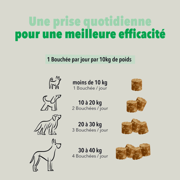 Les bouchées Digestion Delamour