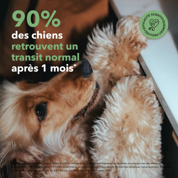 Les bouchées Digestion Delamour