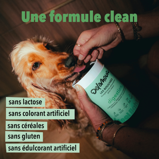 Les bouchées Digestion Delamour