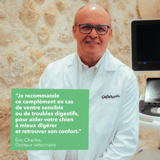 Les bouchées Digestion Delamour