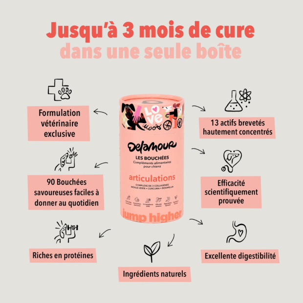 Bouchées Articulations Delamour – Soutien naturel pour le confort articulaire