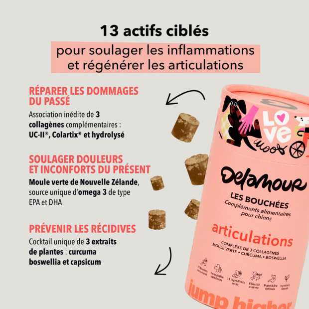 Bouchées Articulations Delamour – Soutien naturel pour le confort articulaire