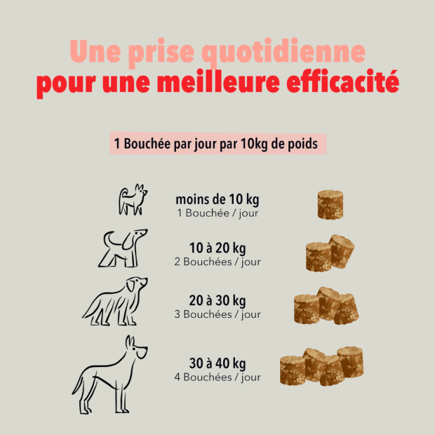 Bouchées Articulations Delamour – Soutien naturel pour le confort articulaire