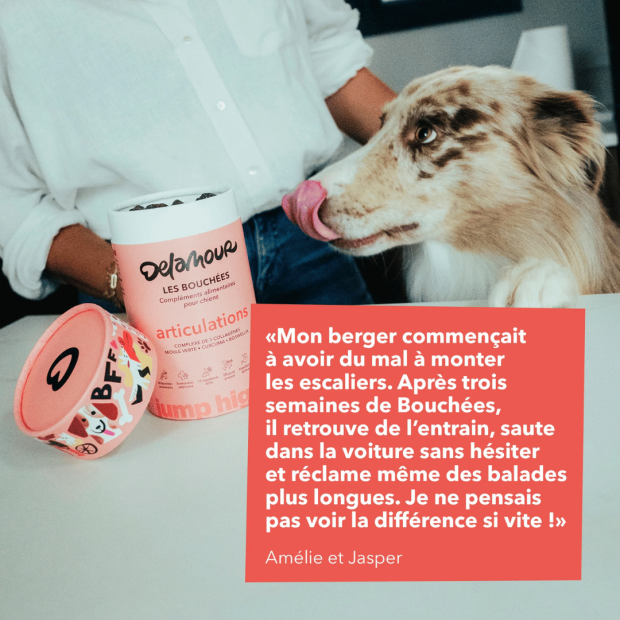 Bouchées Articulations Delamour – Soutien naturel pour le confort articulaire