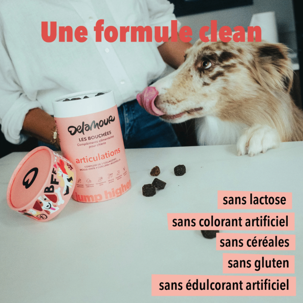Bouchées Articulations Delamour – Soutien naturel pour le confort articulaire