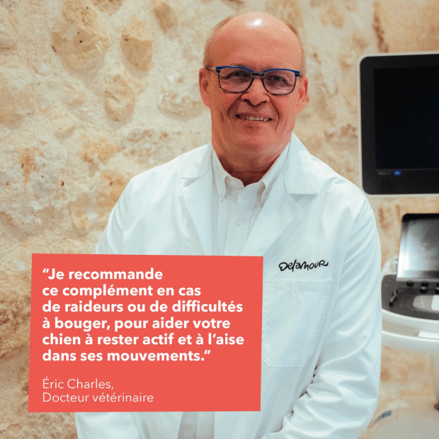 Bouchées Articulations Delamour – Soutien naturel pour le confort articulaire