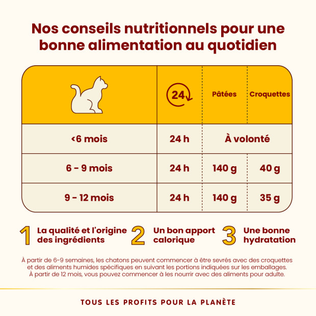 Boite HFC Complete grain free kitten 70g Almo Nature