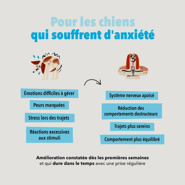 Bouchées Anxiété Delamour - un anti stress naturel !