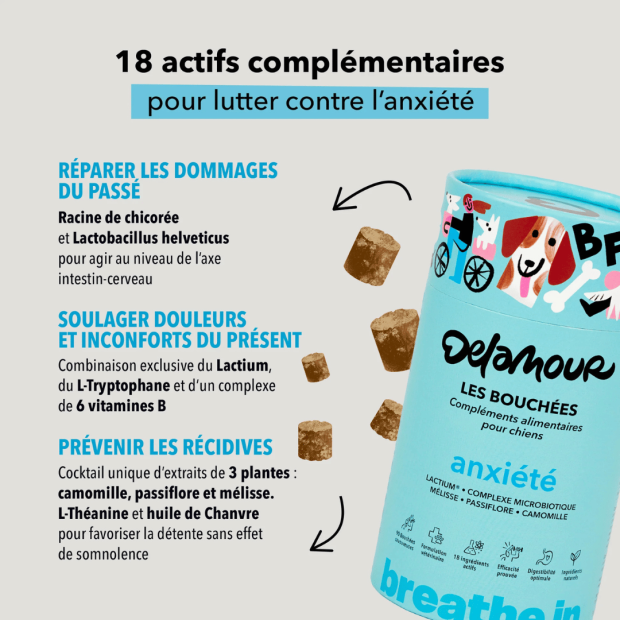 Bouchées Anxiété Delamour - un anti stress naturel !