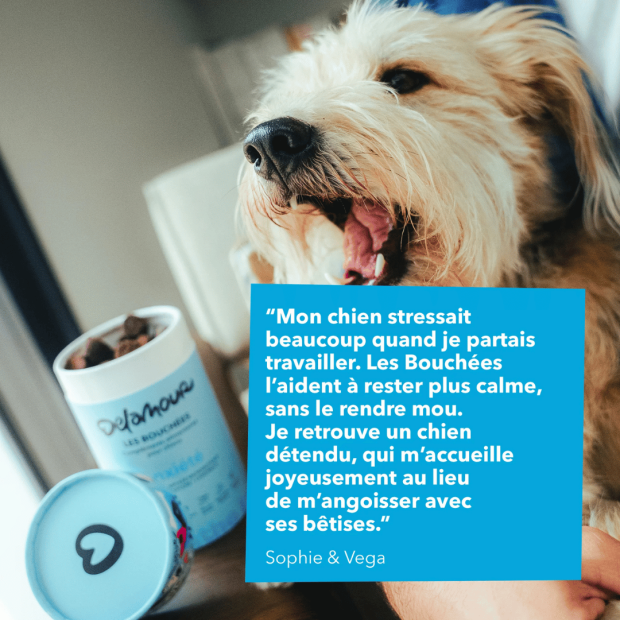 Bouchées Anxiété Delamour - un anti stress naturel !