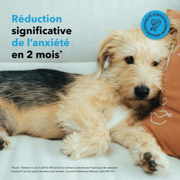 Bouchées Anxiété Delamour - un anti stress naturel !